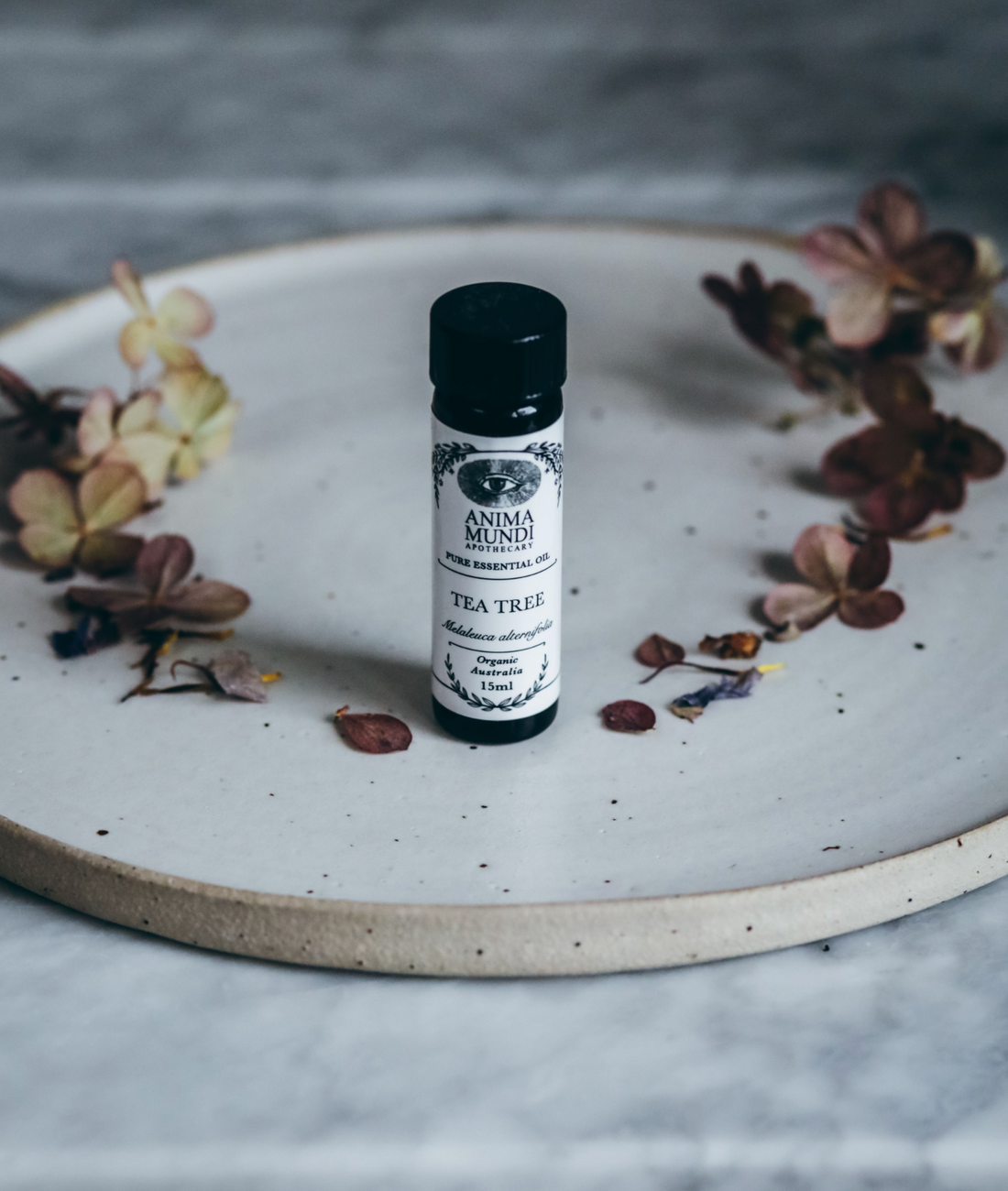 TEA TREE Essential Oil | Organic