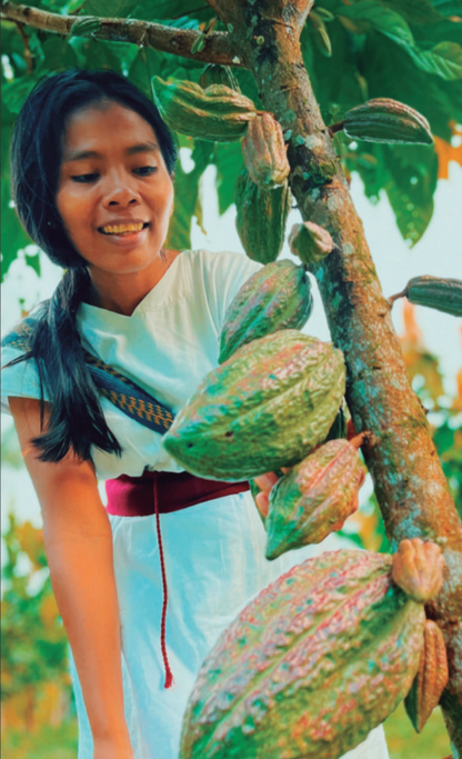 TAYRONA CEREMONIAL CACAO | Indigenous, Organic, Regenerative