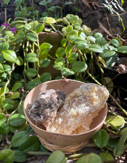 COPAL BLANCO | Handcrafted Natural Resin