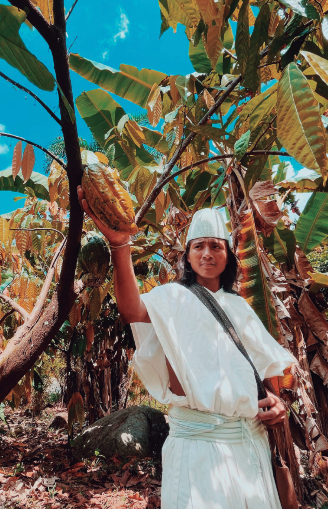 Cacao Circle SoHo - Journey of Ancestral Awakening