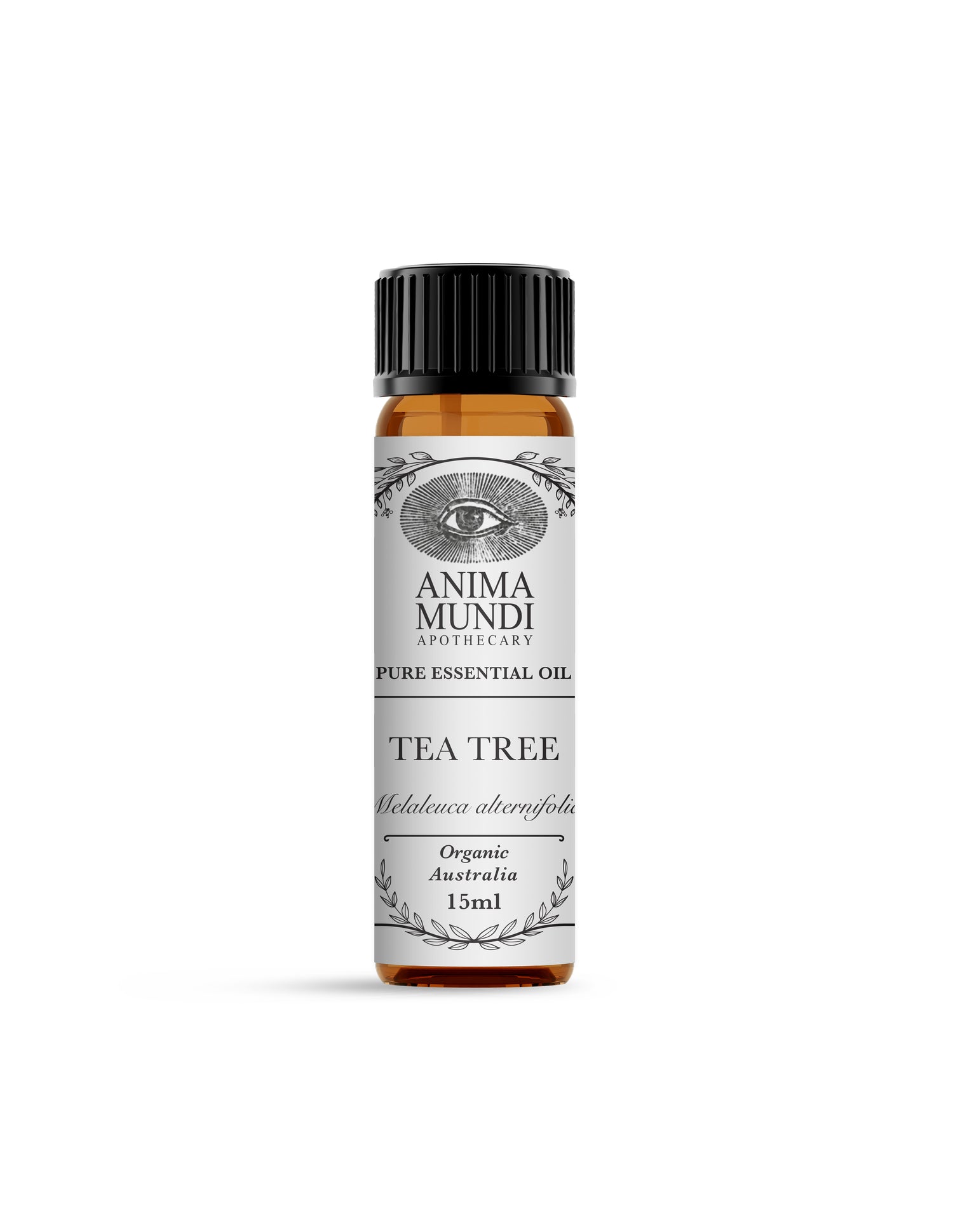 TEA TREE Essential Oil | Organic