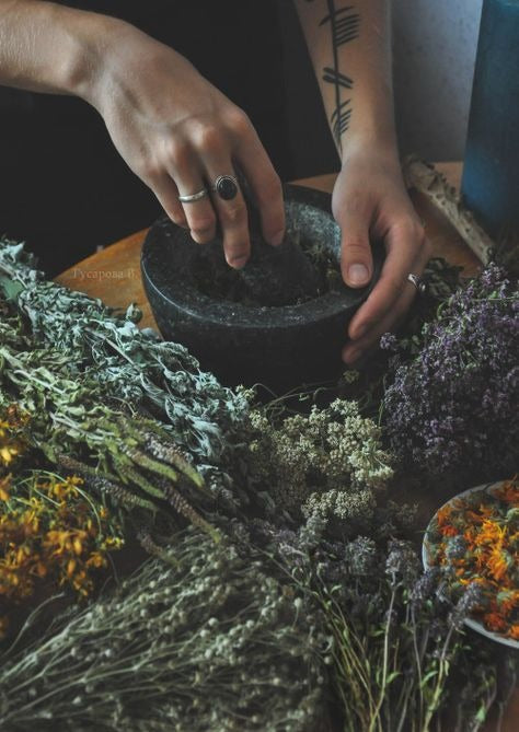 Ancestral Medicine Tasting with The Alchemist Kitchen team