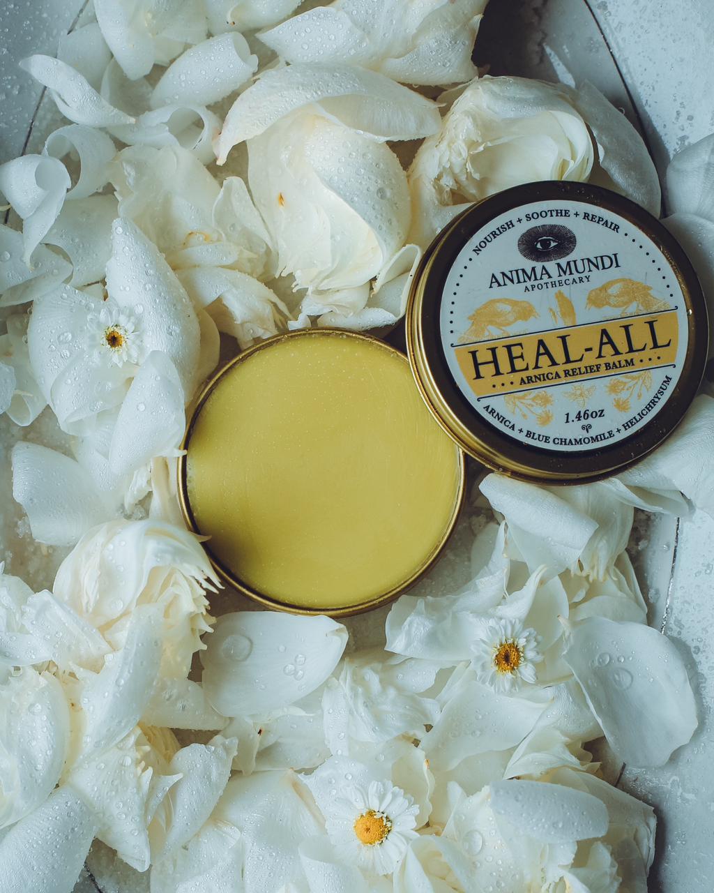 HEAL-ALL Arnica Relief Balm | Nourish, Soothe + Repair