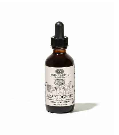 ADAPTOGENIC Tonic | 7 Mushrooms, Camu Camu, Mangosteen