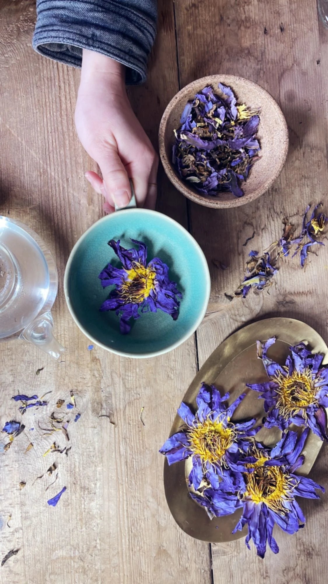Ancestral Medicine Tasting with The Alchemist Kitchen team