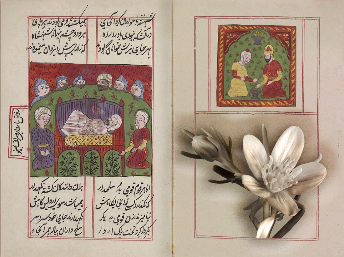 The Womb Oracle: A Guided Journey for Creative Intuition