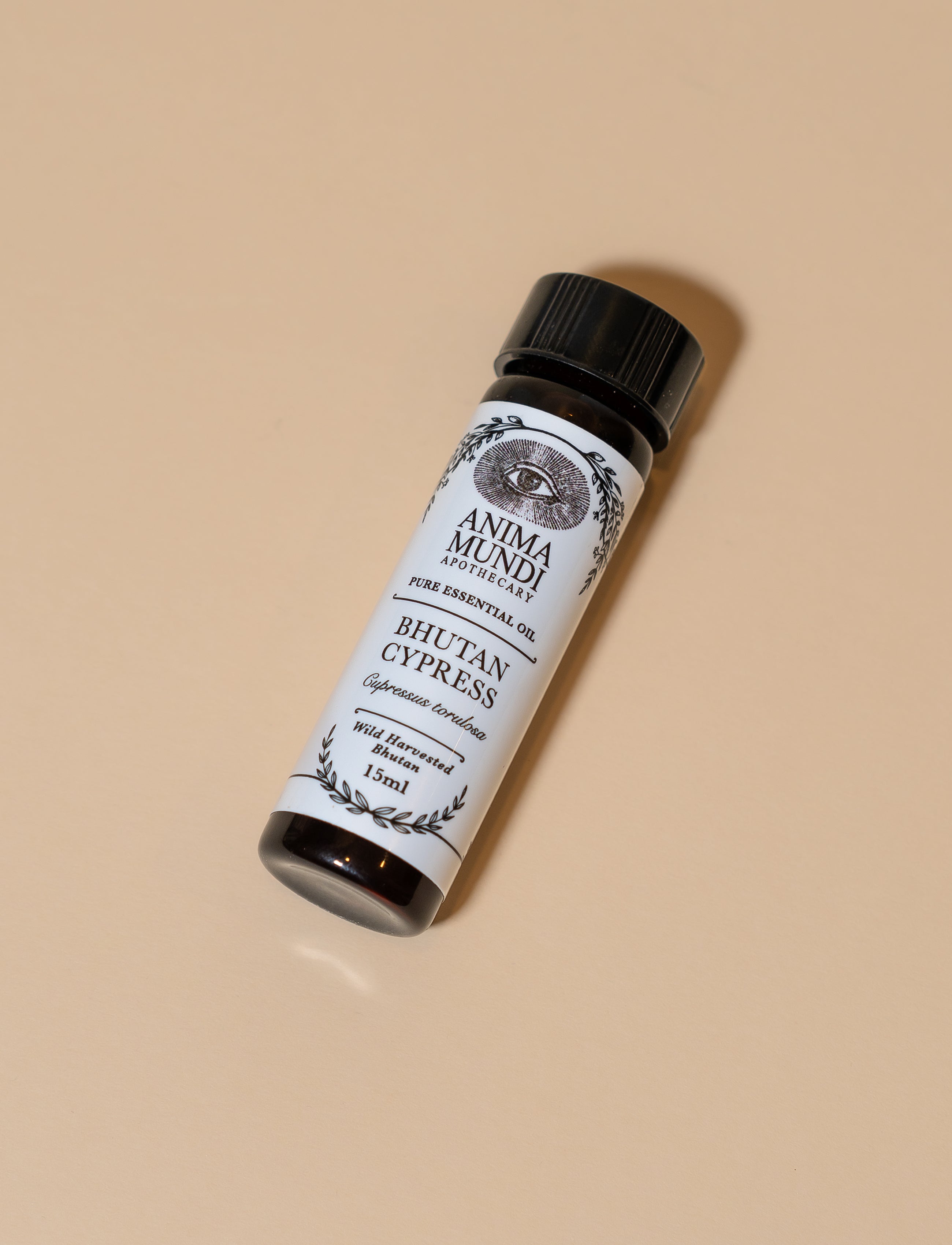 BHUTAN CYPRESS Essential Oil | Wildcrafted