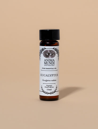 EUCALYPTUS Essential Oil | Organic