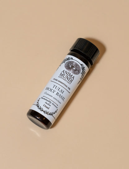 TULSI (HOLY BASIL) Essential Oil | Sustainably Cultivated