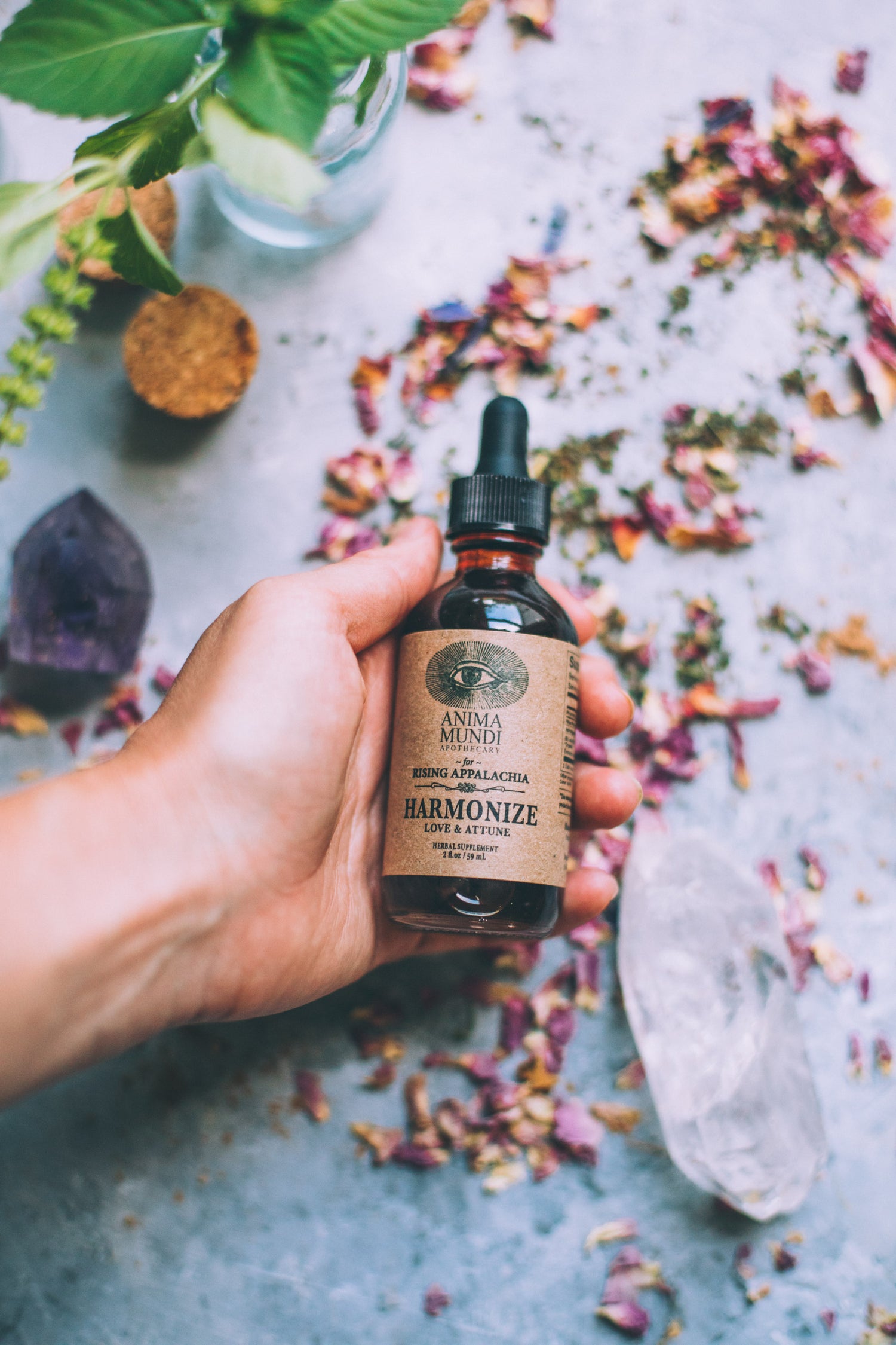 HARMONIZE Tonic | Rose + Ashwagandha