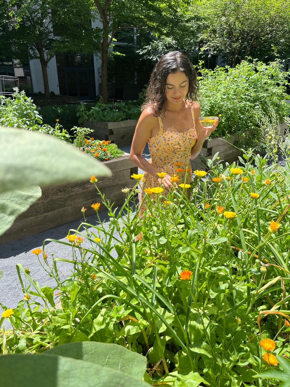 Capturing Sunshine: Calendula Planting Workshop