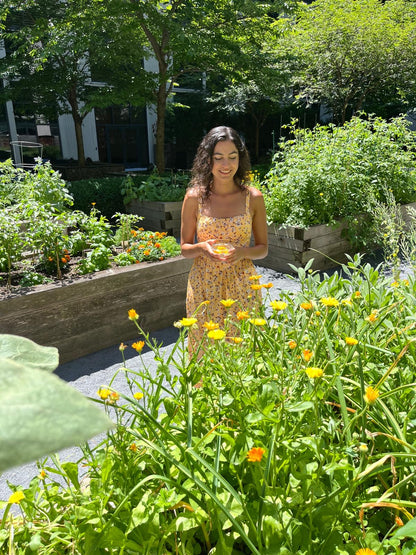 Capturing Sunshine: Calendula Planting Workshop