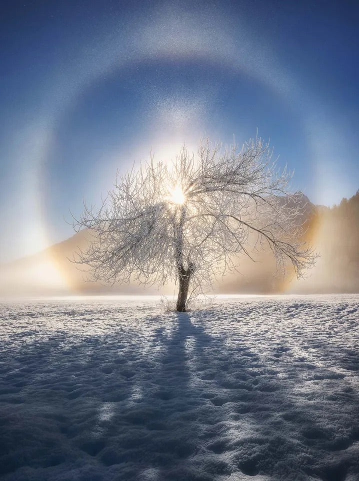 The Moment Before: A Guided Breathwork Experience