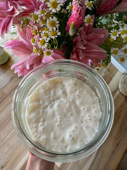 Beginner Sourdough Workshop