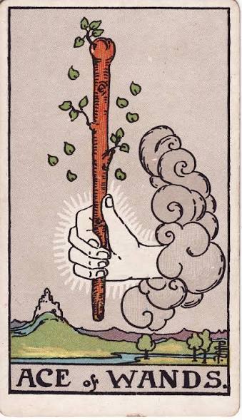 Ace of Wands: Cultivating the Spark