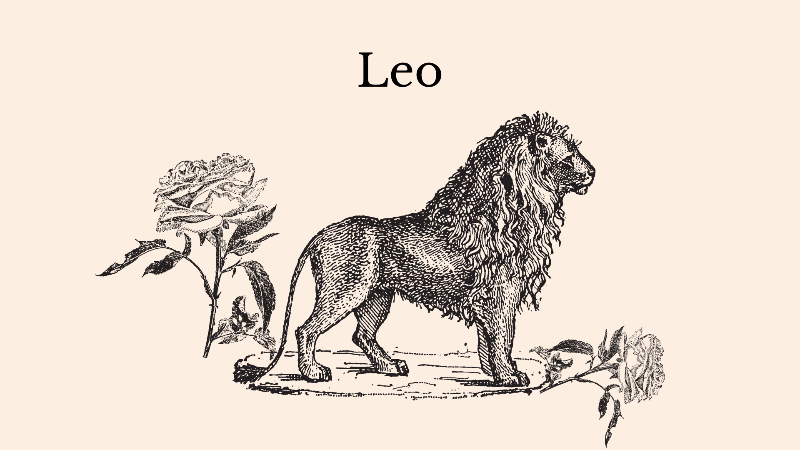The Tarot + Plant Spirit Healing: Archetypes of Leo Season