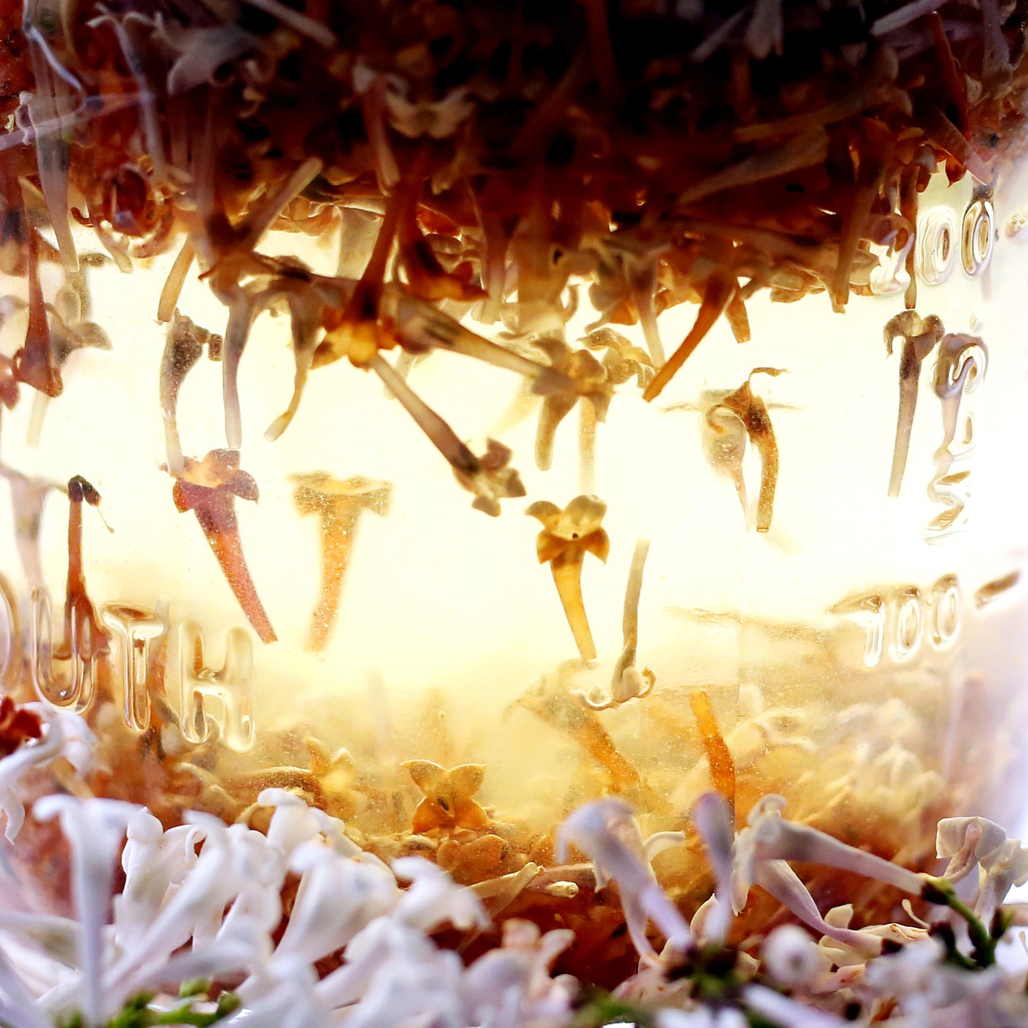 The Art of Botanical Perfume: Create Your Own!