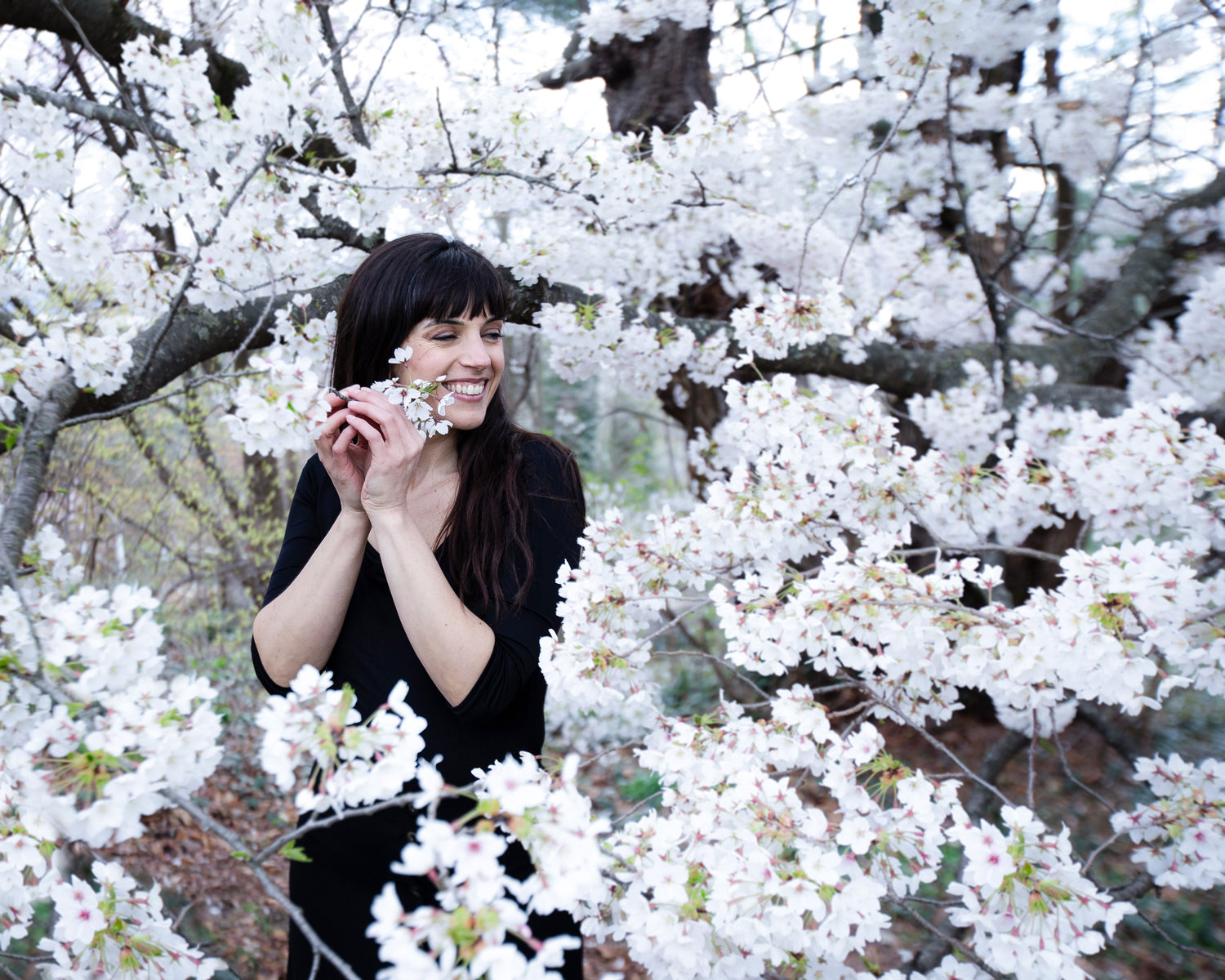 Intro to Ayurveda: A 2-Day Intensive