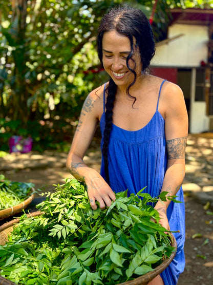 Winter Solstice Ritual: Native Plant Wreath-Making