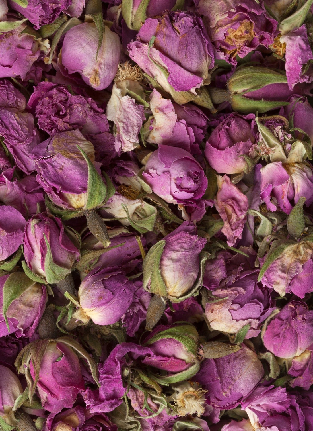 WHOLE ROSE BUDS | Organic Blooms