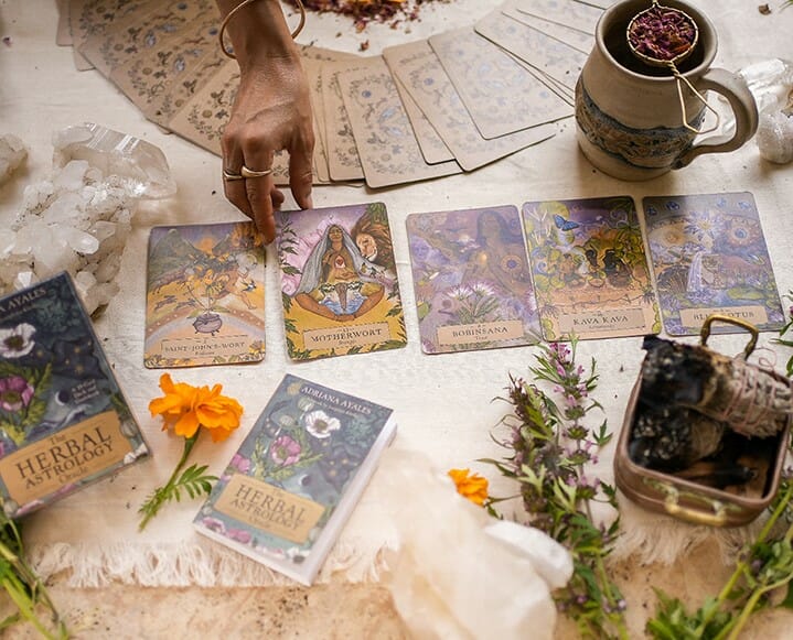 Astrology + Birth chart Readings with Catherine
