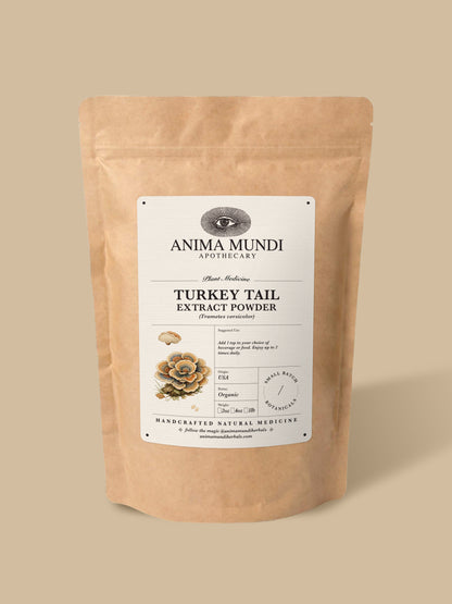 Turkey Tail Mushroom Powder, Organic 4 oz BULK BAG