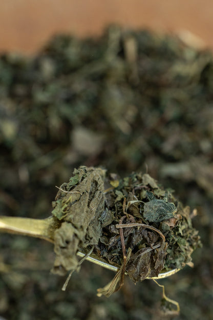 Nettle Leaf, Organic