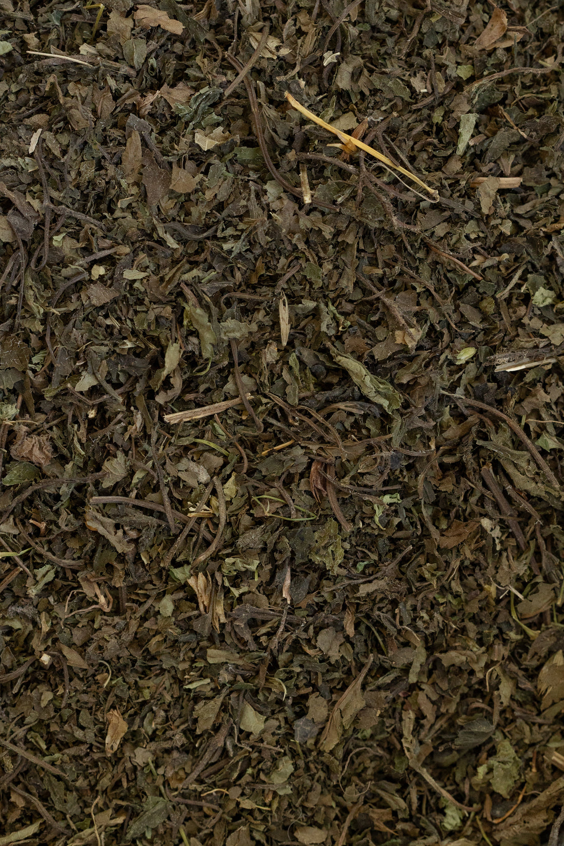 Lemon Balm, Organic