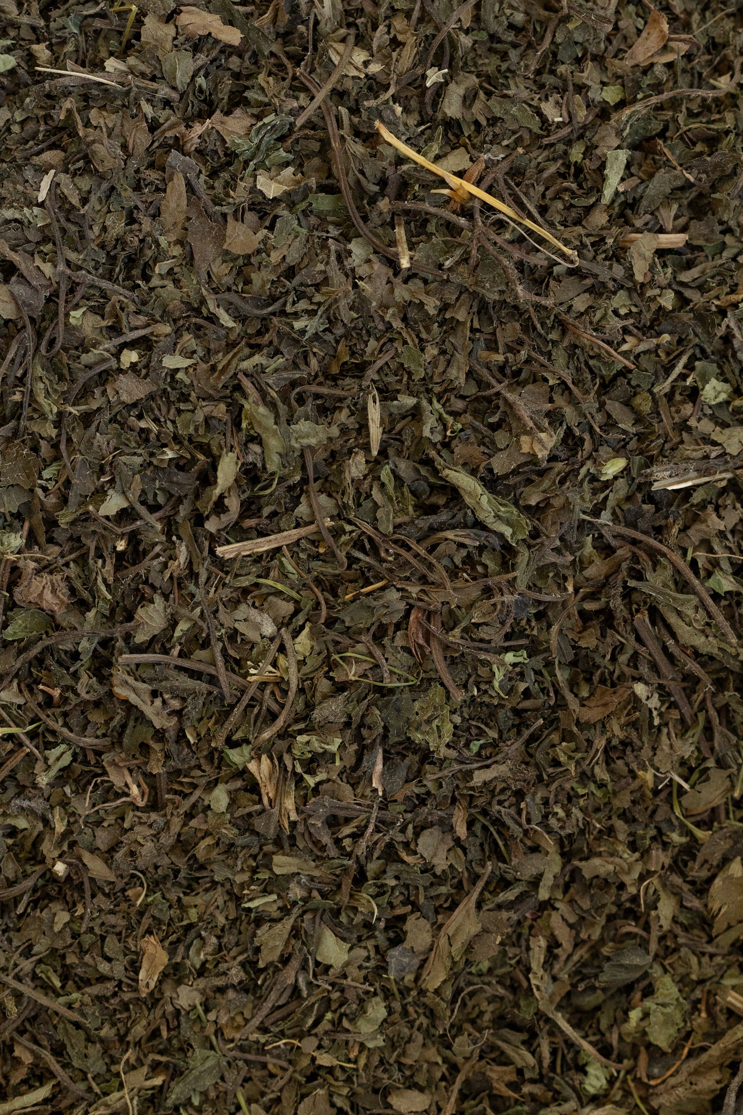 Lemon Balm, Organic