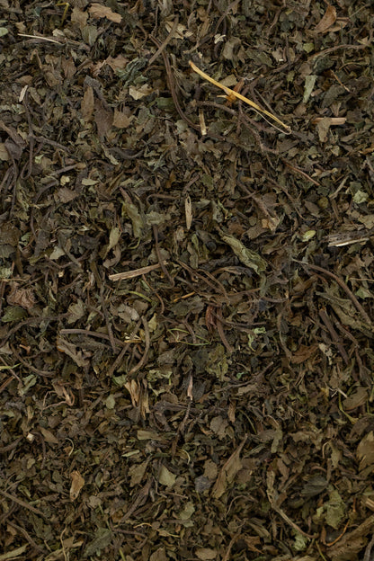 Lemon Balm, Organic