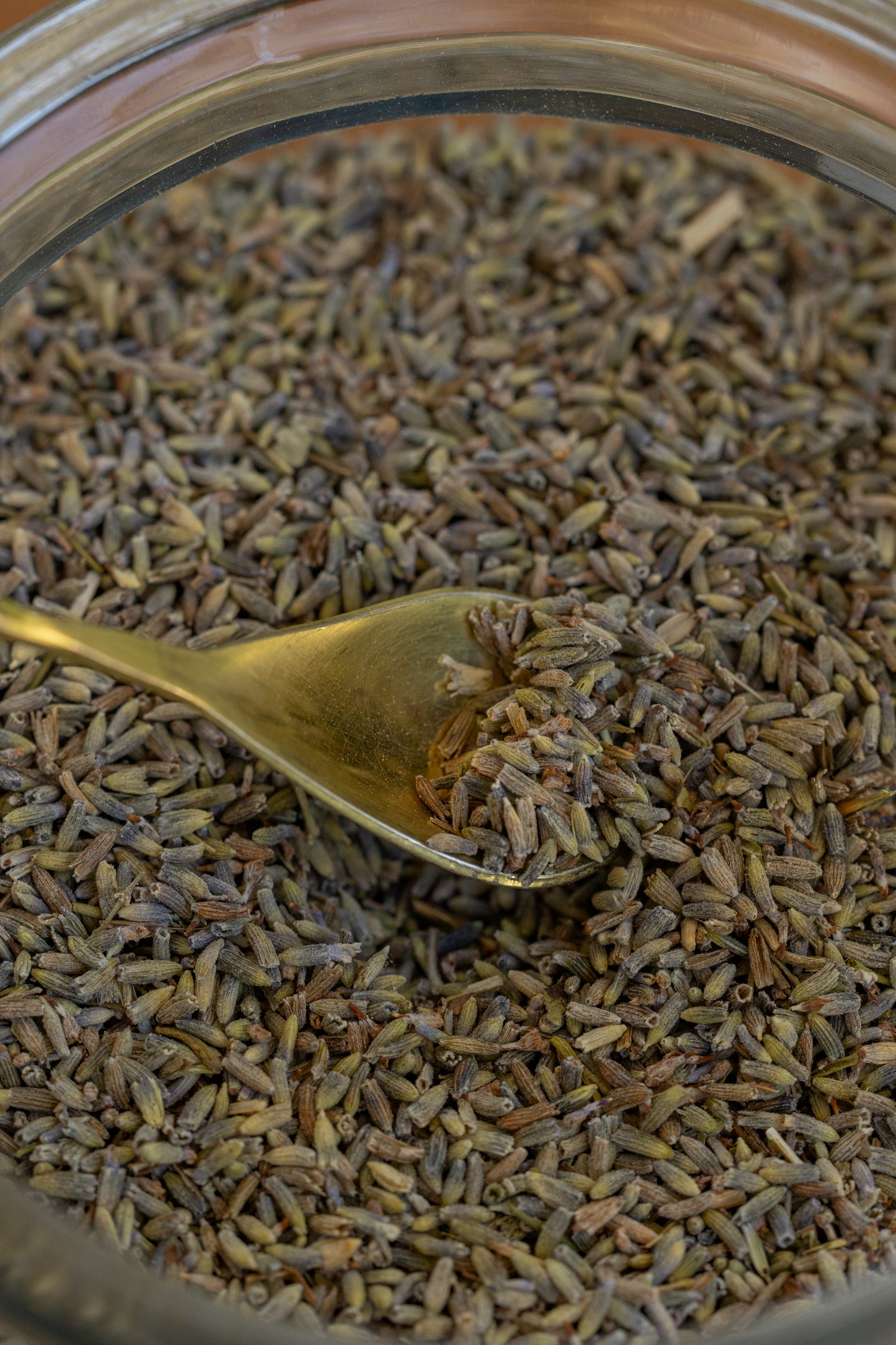 Lavender Flowers, Organic
