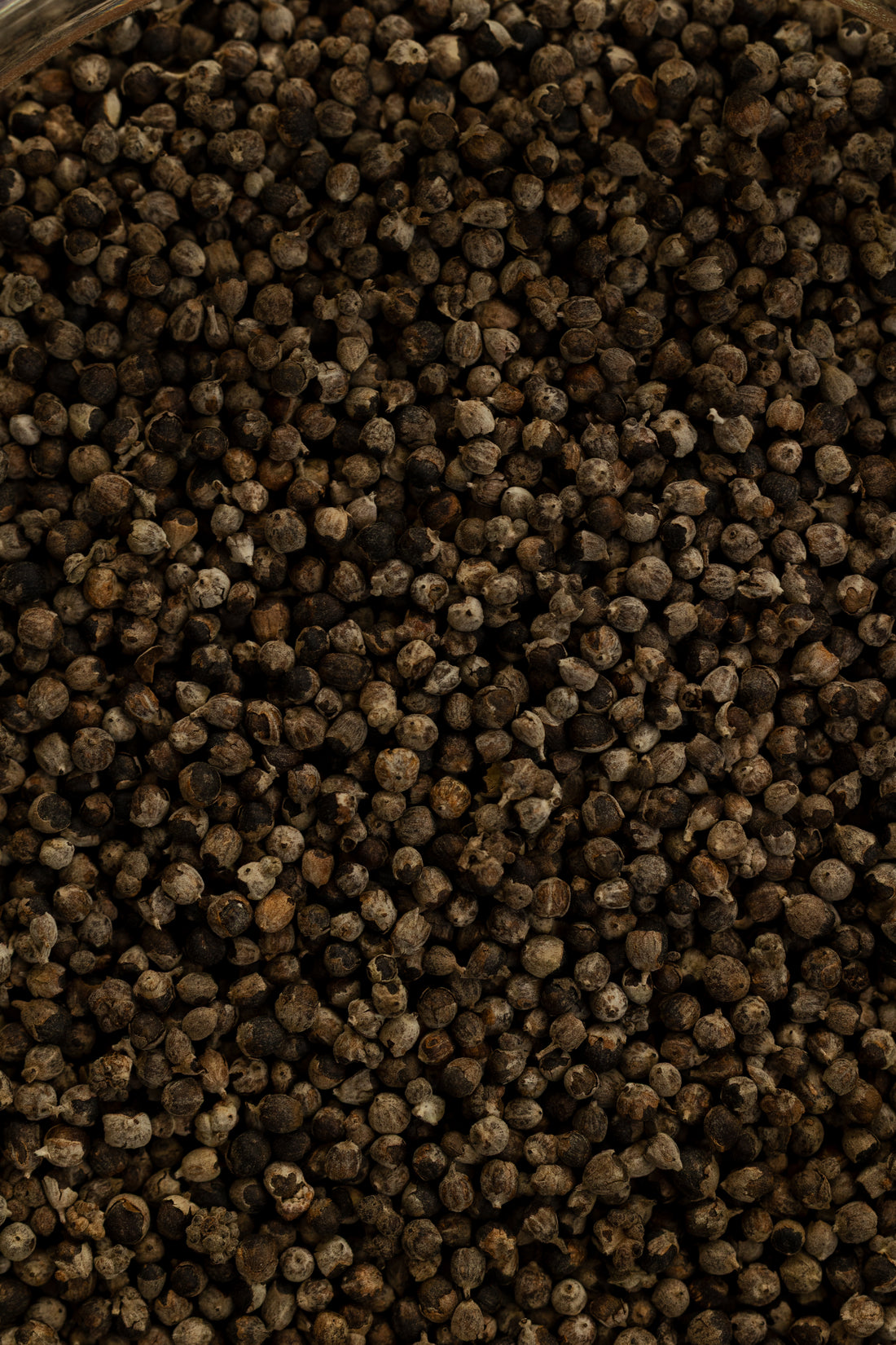 Chaste Berry (Vitex), Organic 4 oz BULK BAG