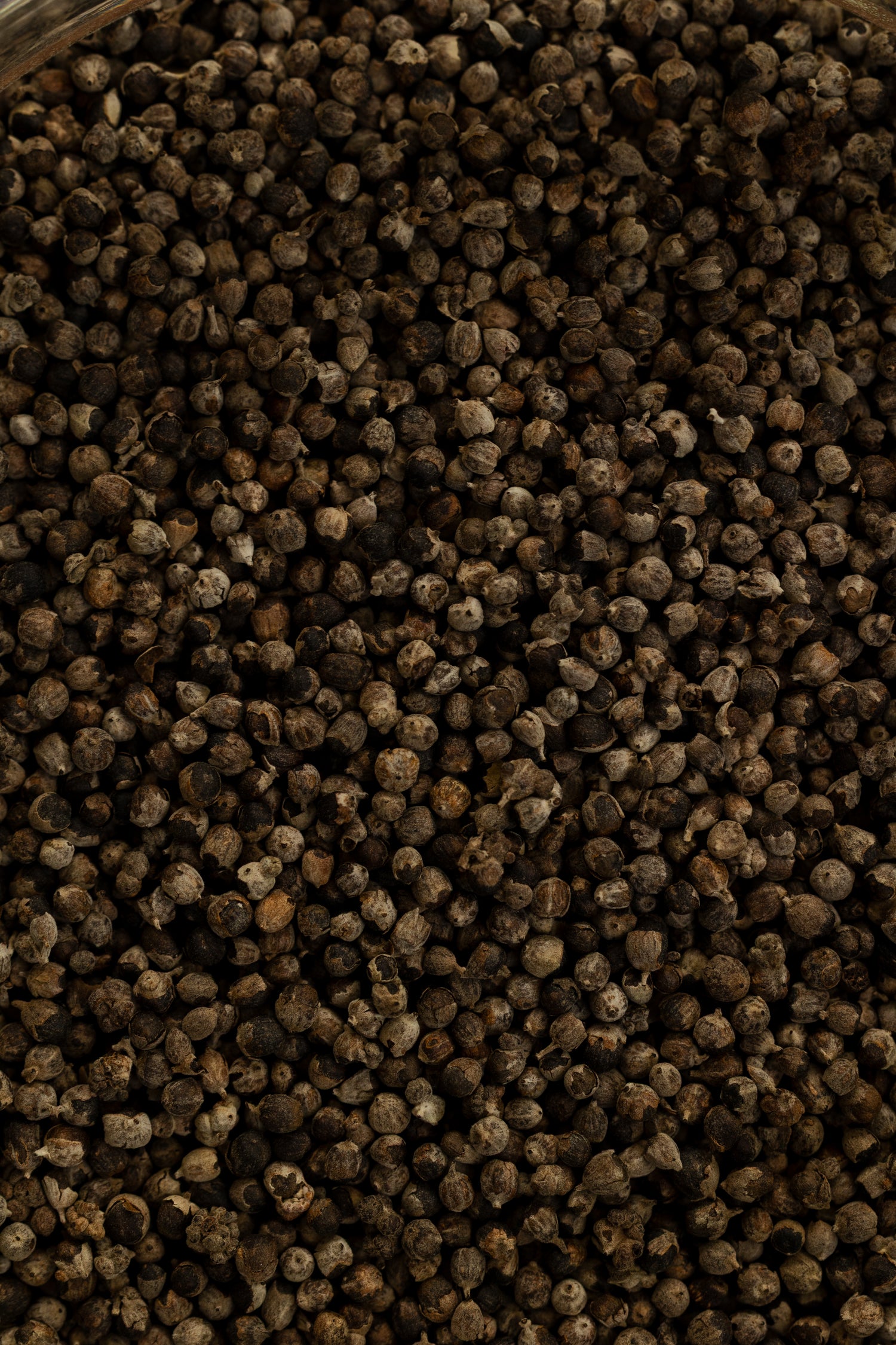 Chaste Berry (Vitex), Organic 4 oz BULK BAG