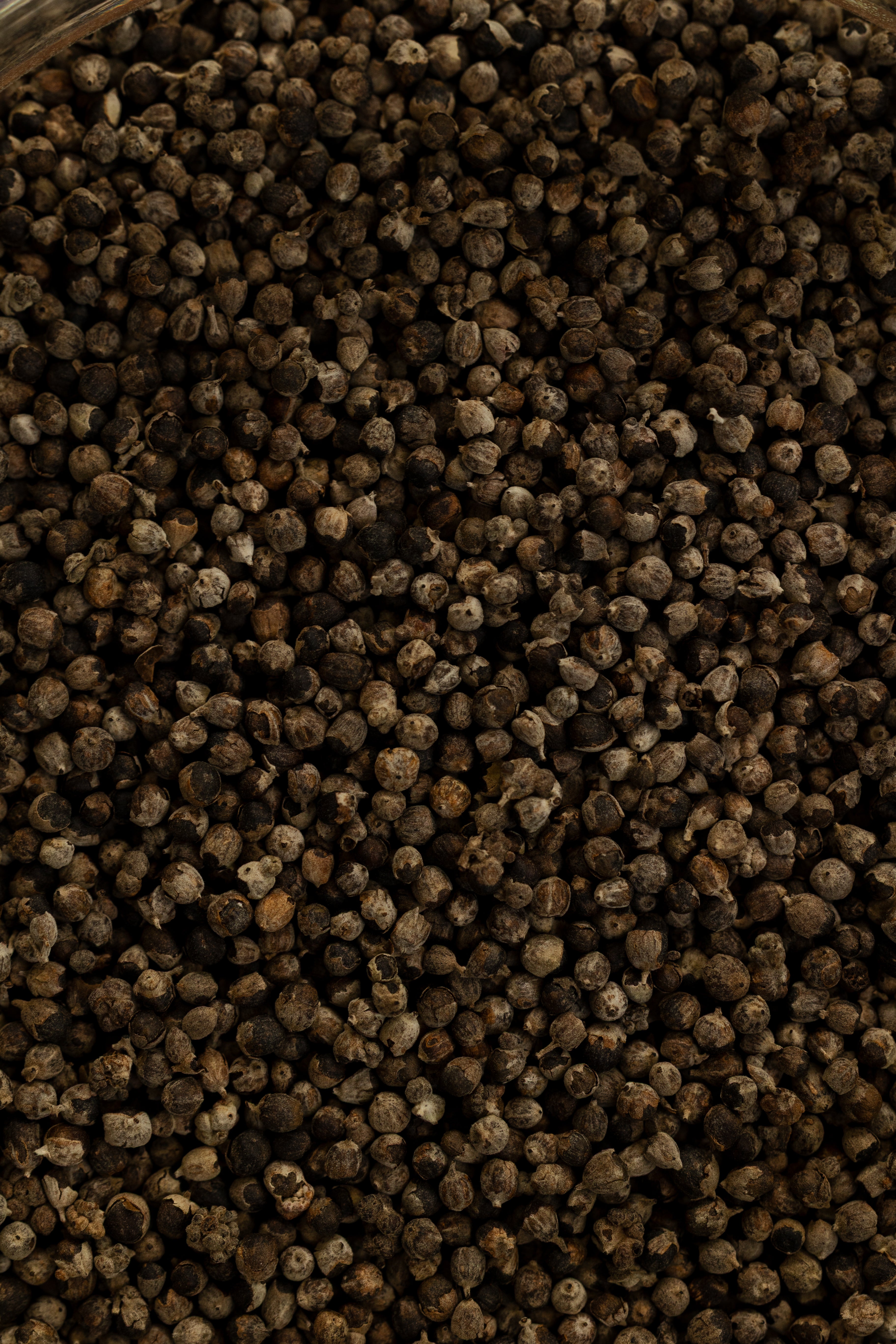 Chaste Berry (Vitex), Organic 4 oz BULK BAG