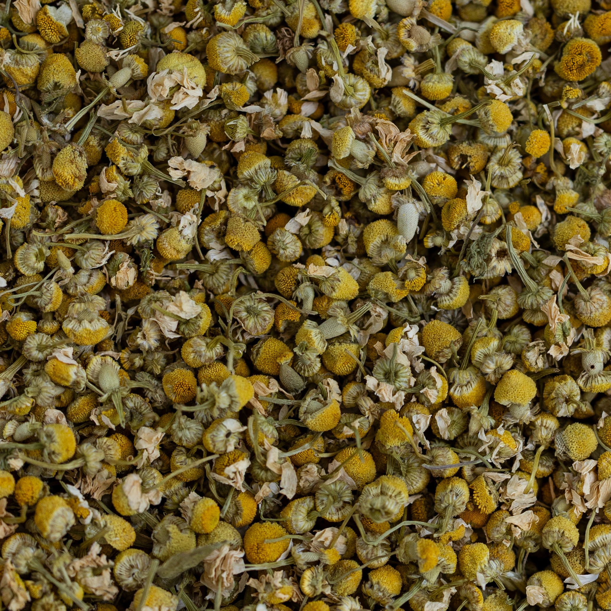 Chamomile Flowers, Organic