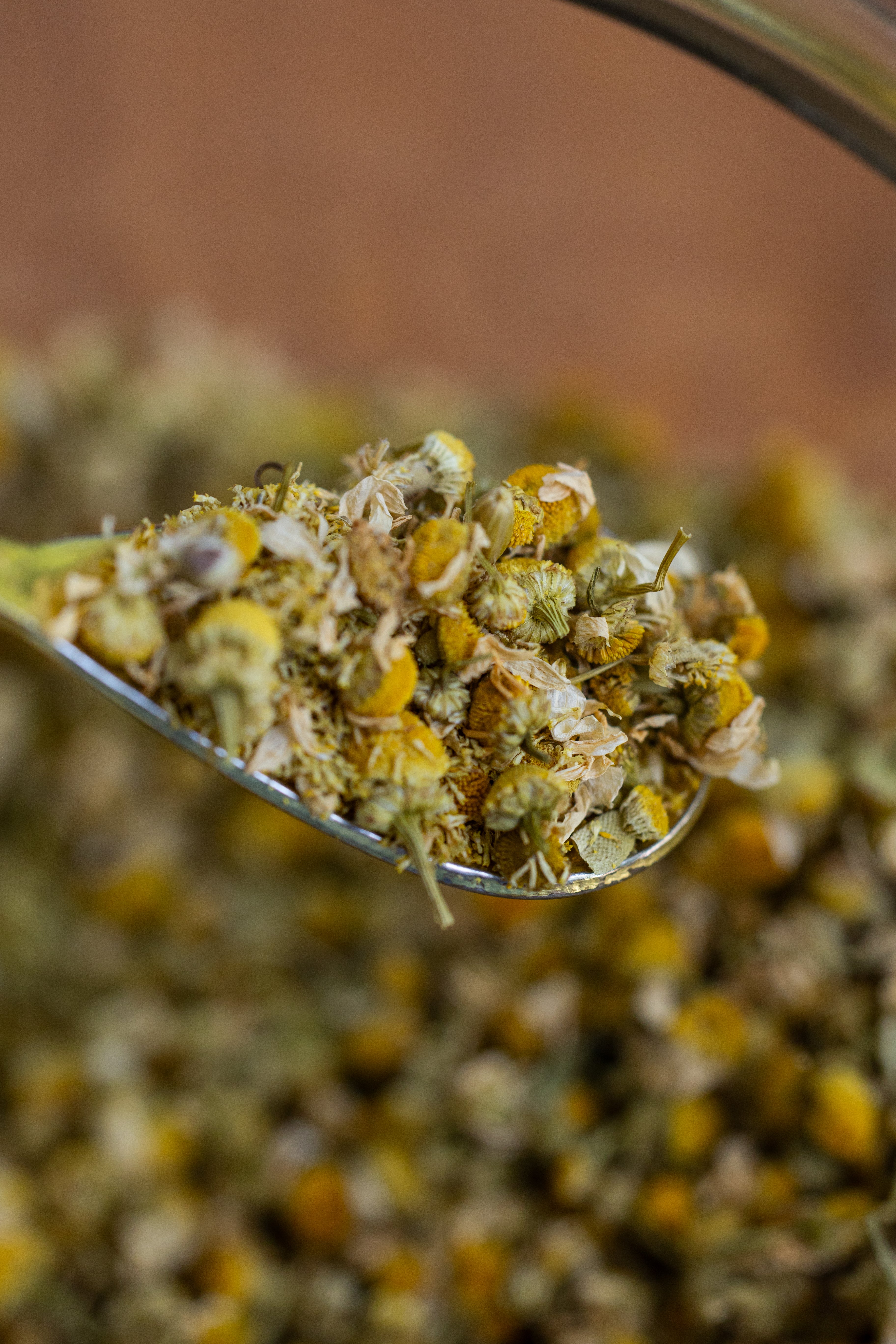 Chamomile Flowers, Organic