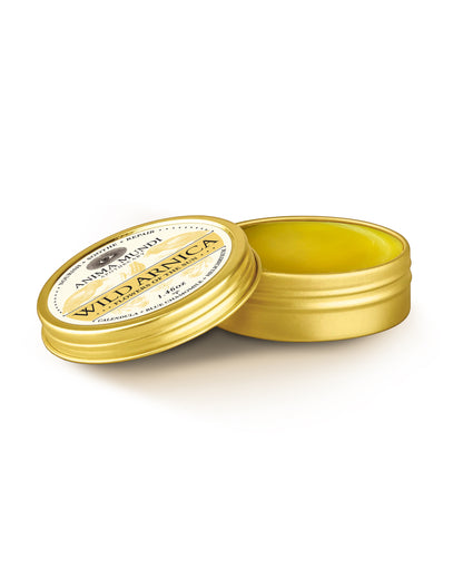 WILD ARNICA BALM | Flowers of the Sun