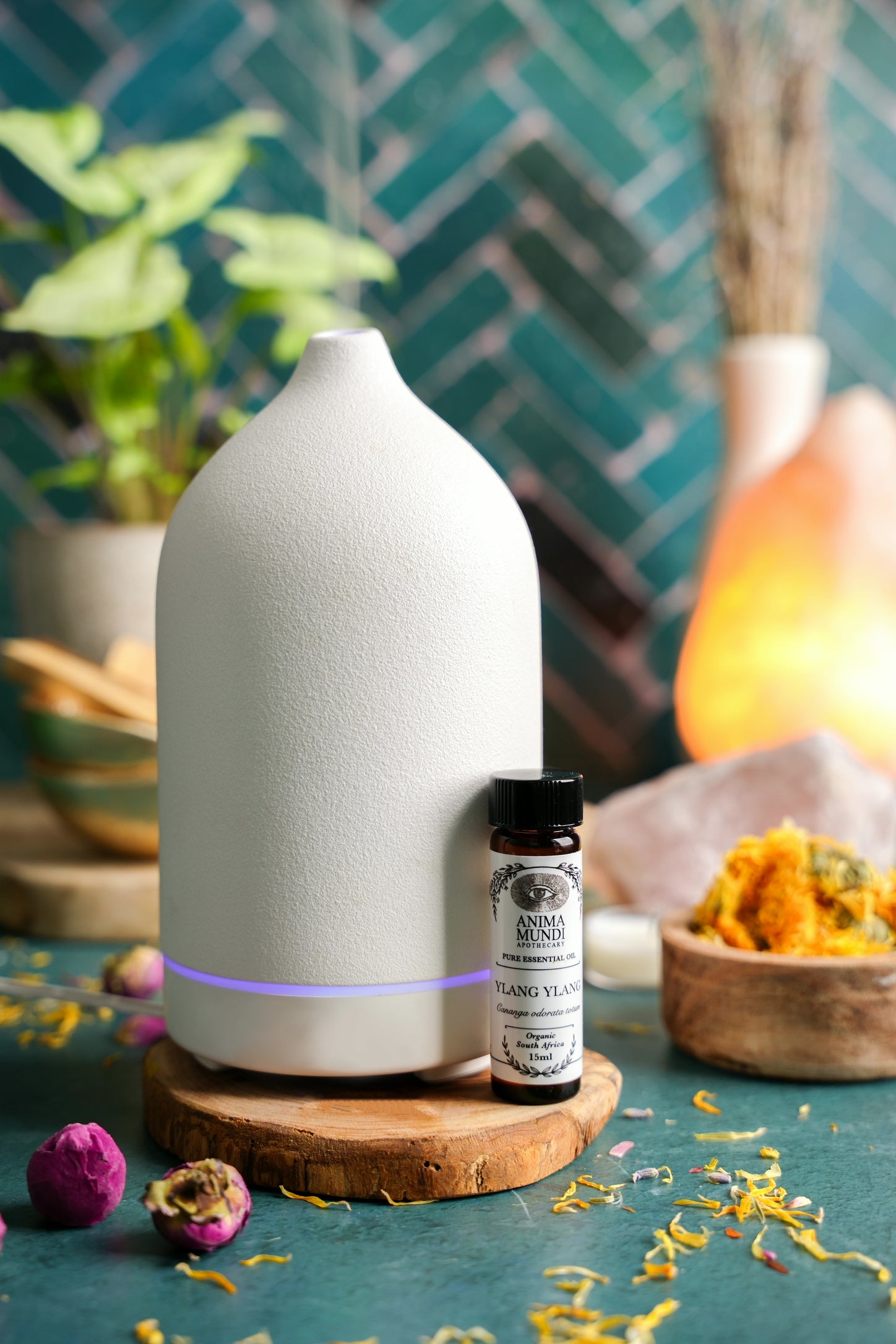 YLANG-YLANG Complete Essential Oil | Organic