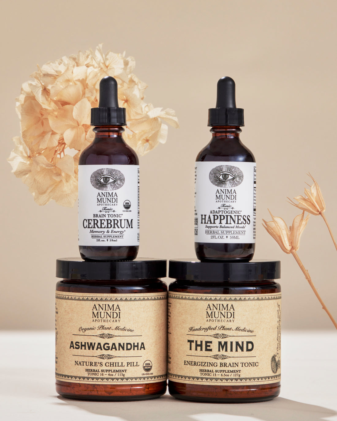 BRAIN KIT | Adaptogenic Nootropics*