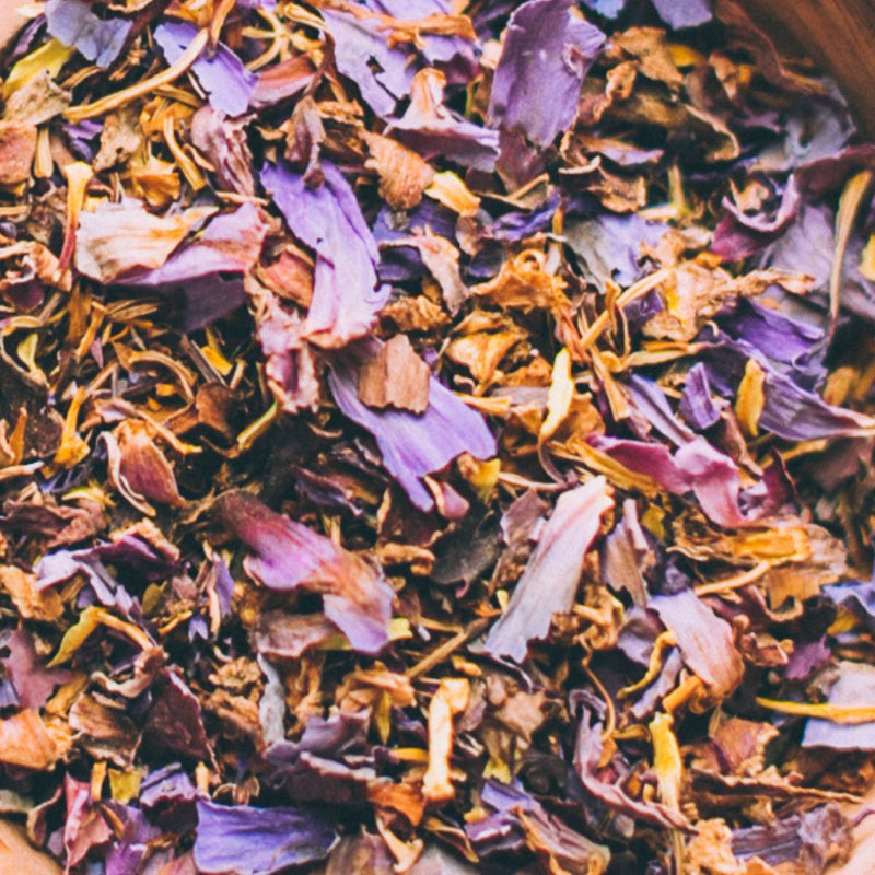 The Qi-Blue Lotus Tea – HUMAN NEST
