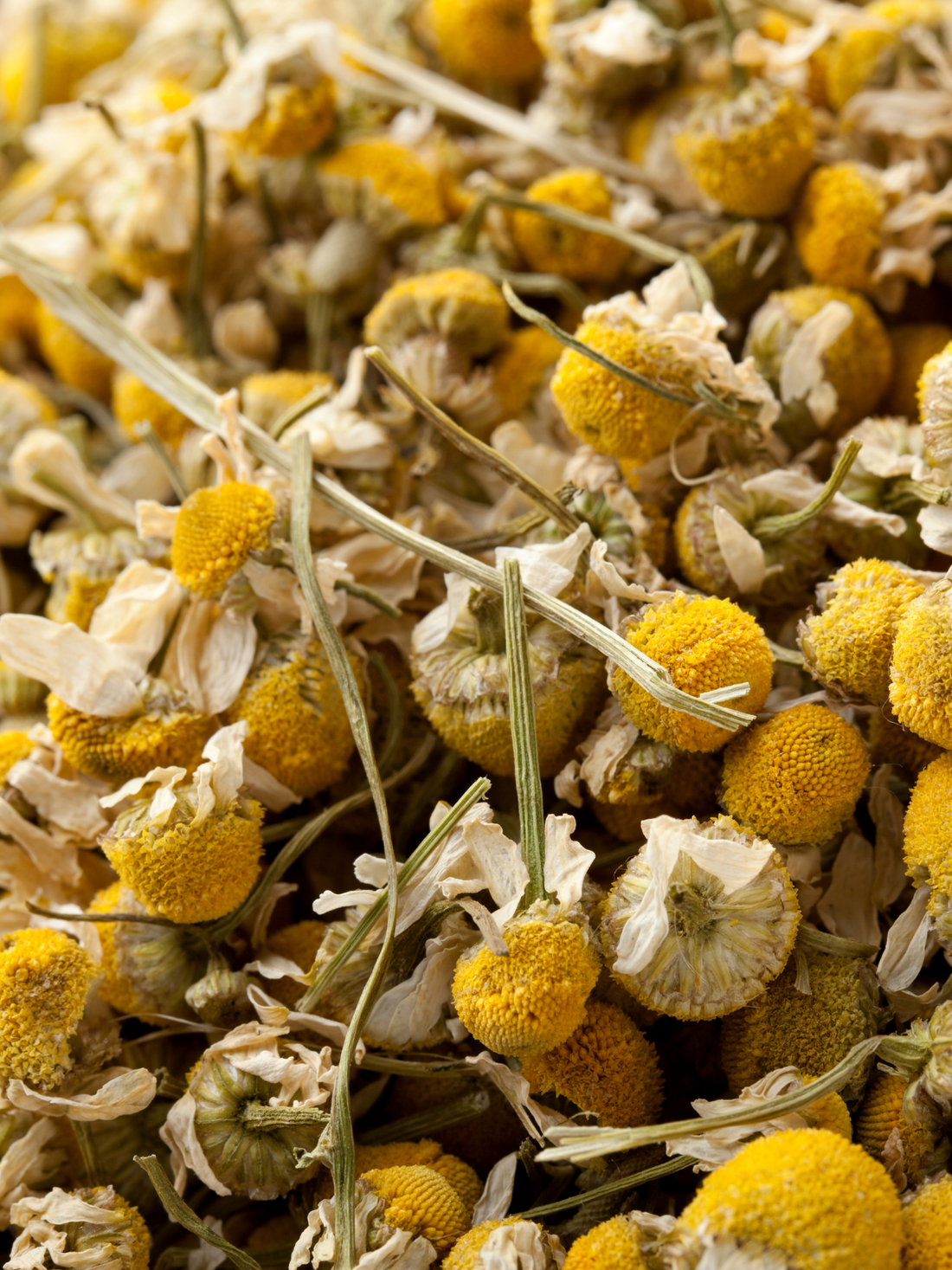 Chamomile Flowers, Organic