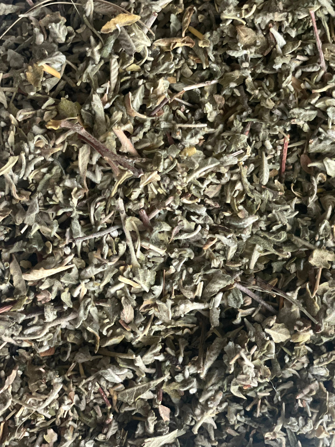 Damiana, Organic 4 oz BULK BAG