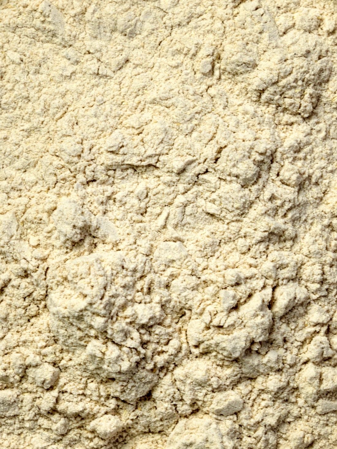 Dandelion Root Powder, Organic