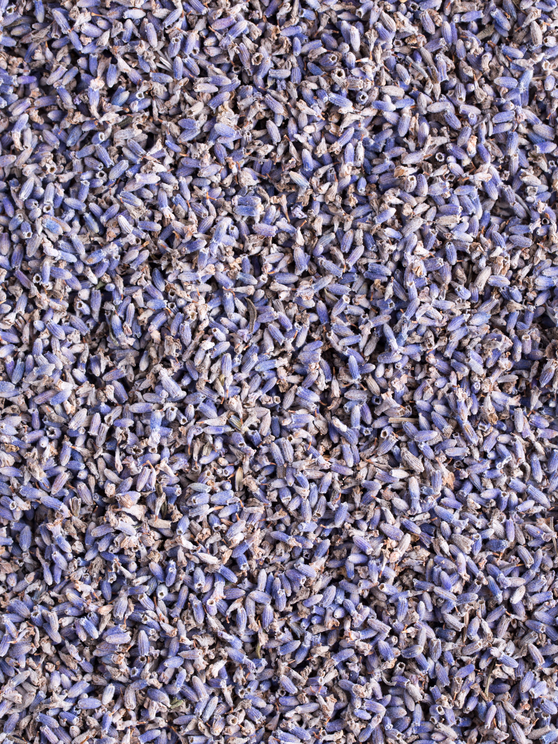 Lavender Flowers, Organic