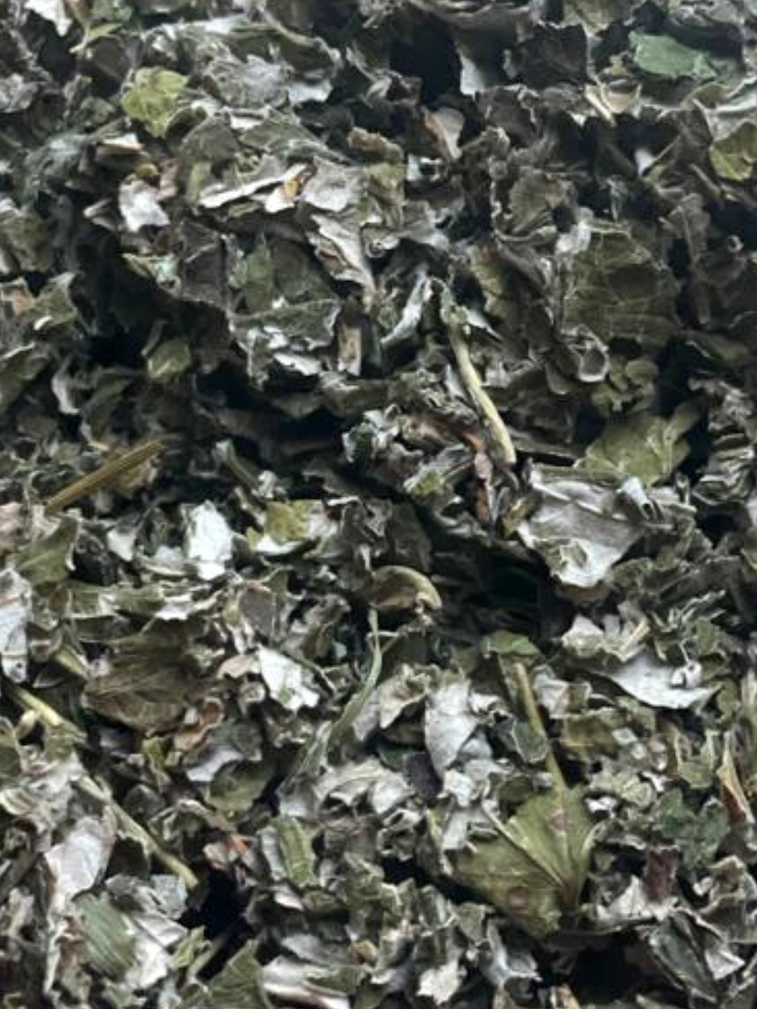 Raspberry Leaf, Organic