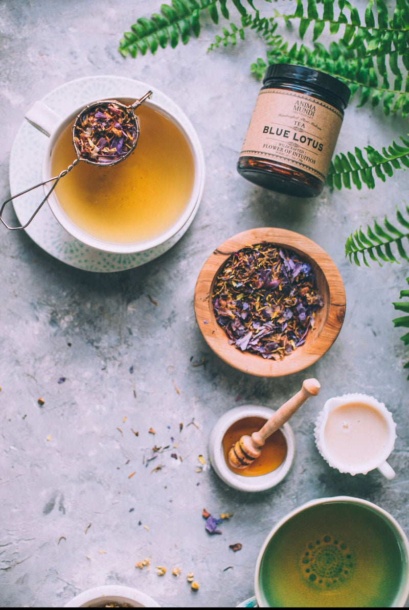 Organic Maui Blue Lotus Tea