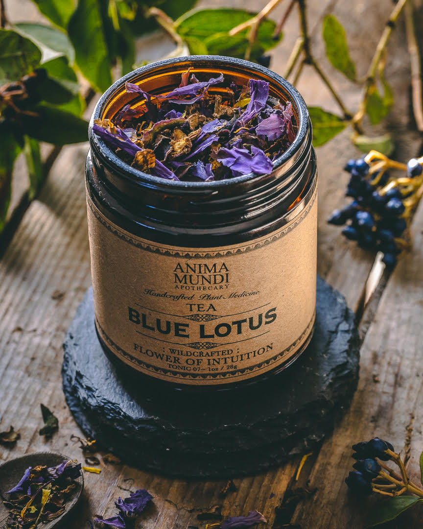 World best Egyptian popular Blue lotus Flower-Cut and Sifted/Organic Cultivation/Best Herbal Lotus tea and Lucid Dream Tea/Blend Herbs for tea