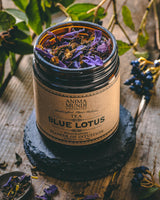 The Qi  Organic Blue Lotus Flower Tea